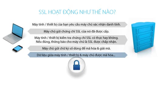 SSL Hoạt Động Như Thế Nào?